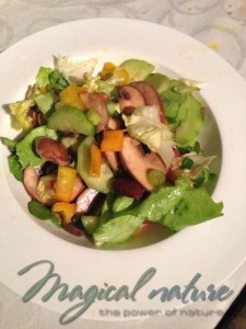 Salat 600